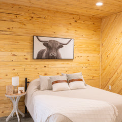 #6 - Serenity Suite (Single Queen + Queen Sofa Sleeper)