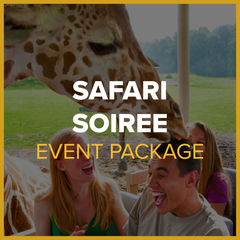 Safari Soiree Event Package (21-30 guests) Game Room