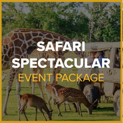 Safari Spectacular Event Package (21-30 guests) Party Barn