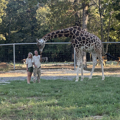 Giraffe Encounter
