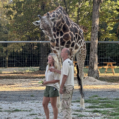 Giraffe Encounter