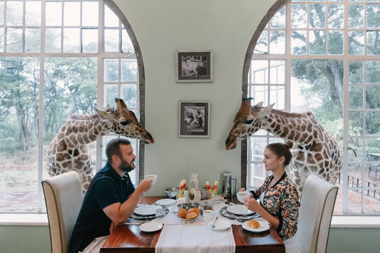 Wake Up With Giants at a Giraffe Breakfast Restaurant Where Dining Meets a Wild Safari Experience
