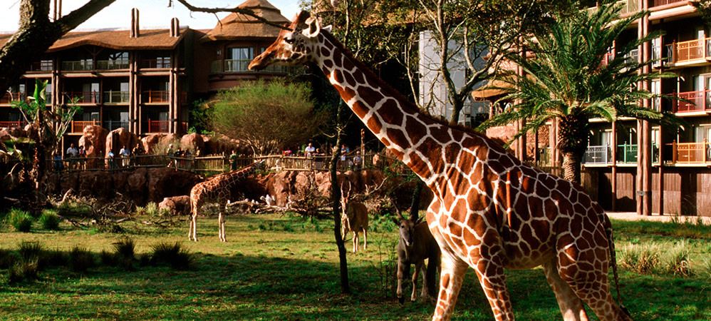 The Animal Resort: A Perfect Day Trip Spot Where You Can Interact With Friendly Farm Animals