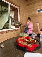Snack with the Giraffes