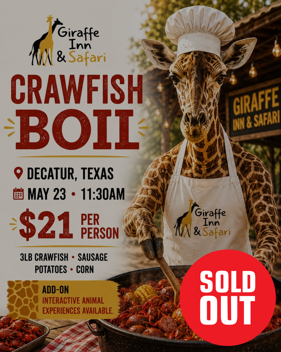 Crawfish Boil