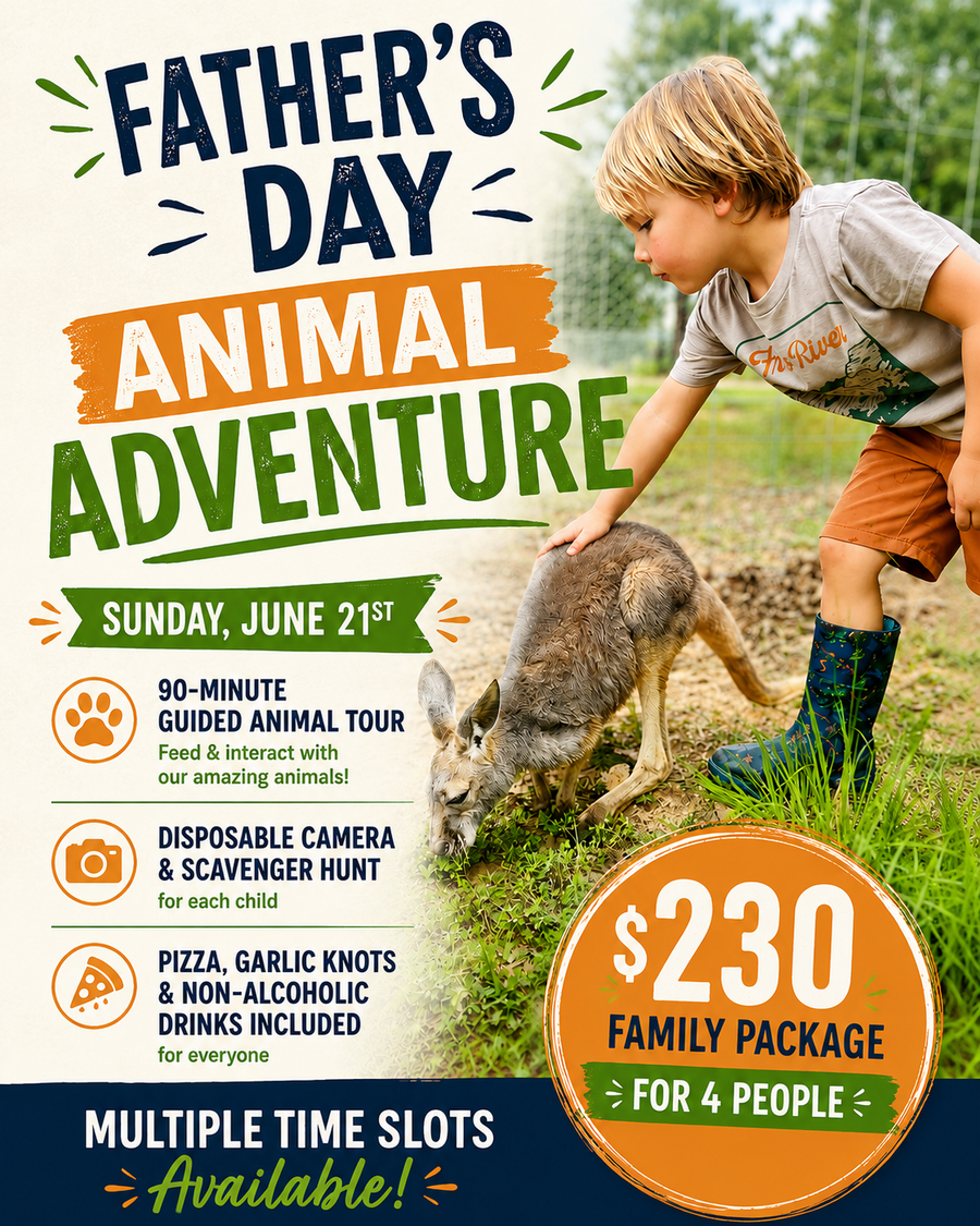 Father's Day Animal Adventure