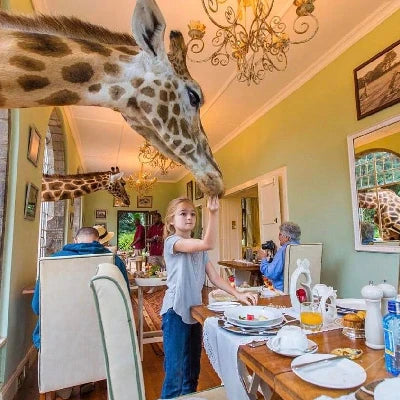 VIP behind-the-scenes Animal Encounters