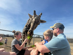 VIP Behind-the-Scenes Giraffe Encounter