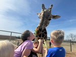 VIP Behind-the-Scenes Giraffe Encounter