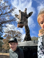 VIP Behind-the-Scenes Giraffe Encounter