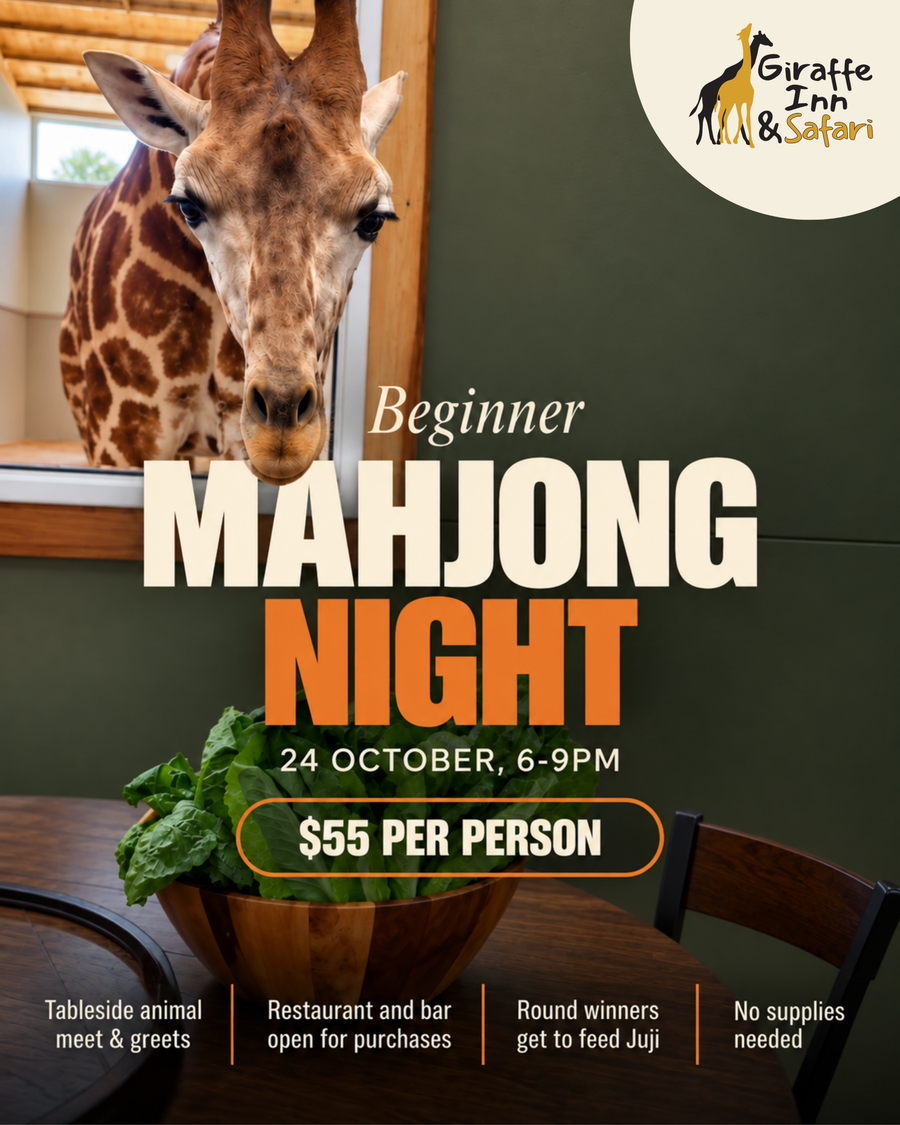 Beginner Mahjong Night