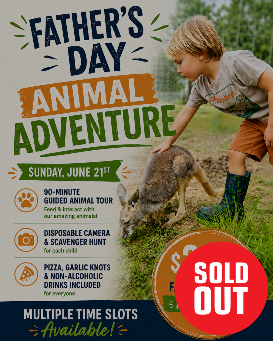 Father's Day Animal Adventure