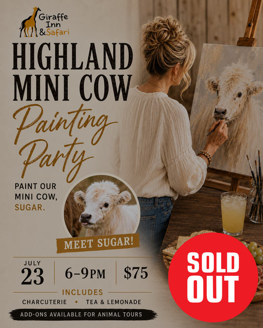 Highland Mini Cow Painting Party