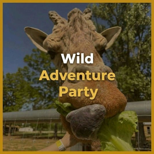 Wild Adventure Party