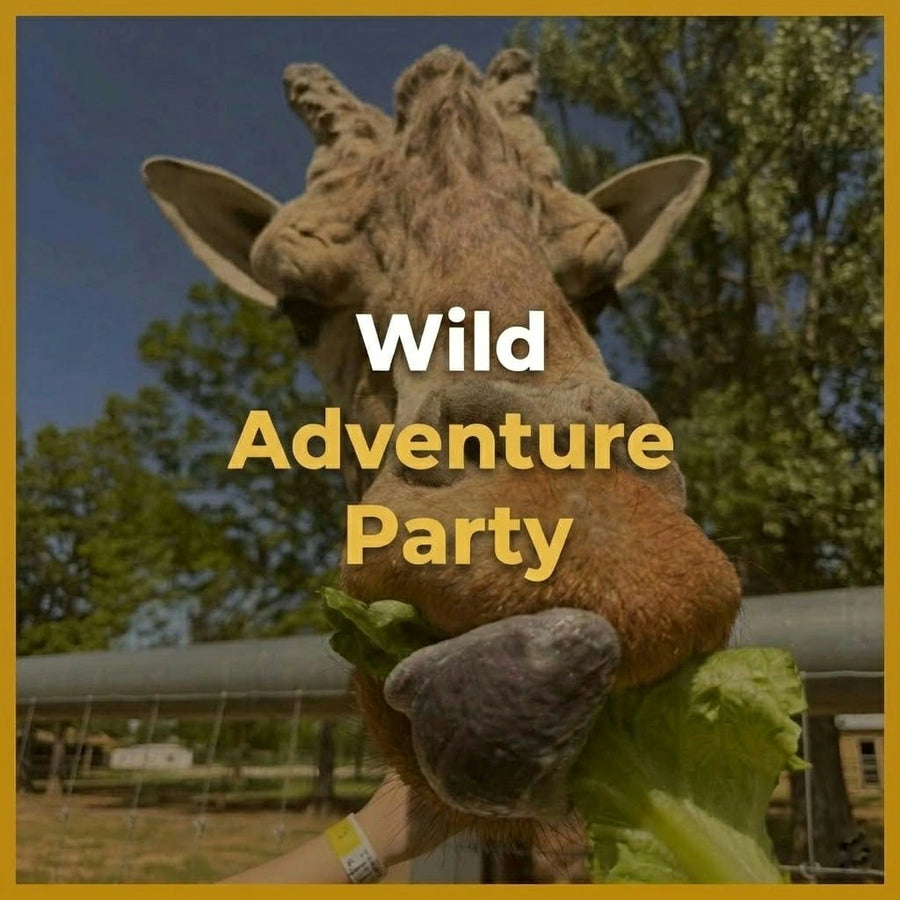 Wild Adventure Party