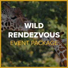 Wild Rendezvous Event Package (31-40 guests) Party Barn