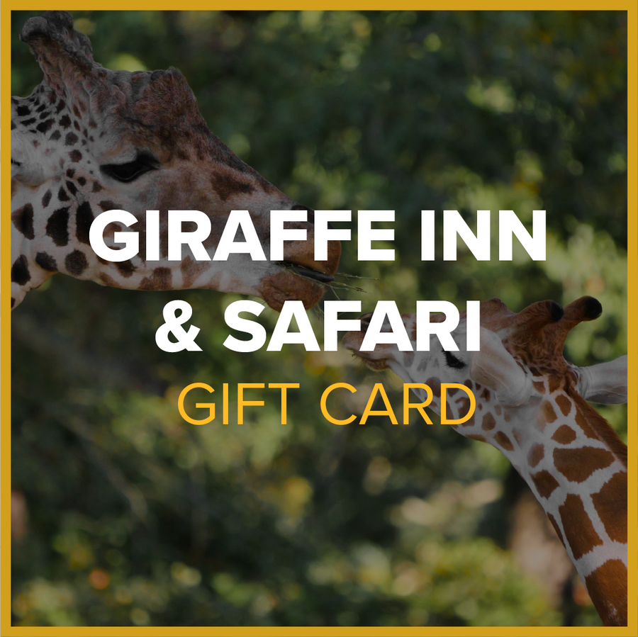 Giraffe Inn & Safari Gift Cards