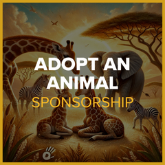 Adopt an Animal Program