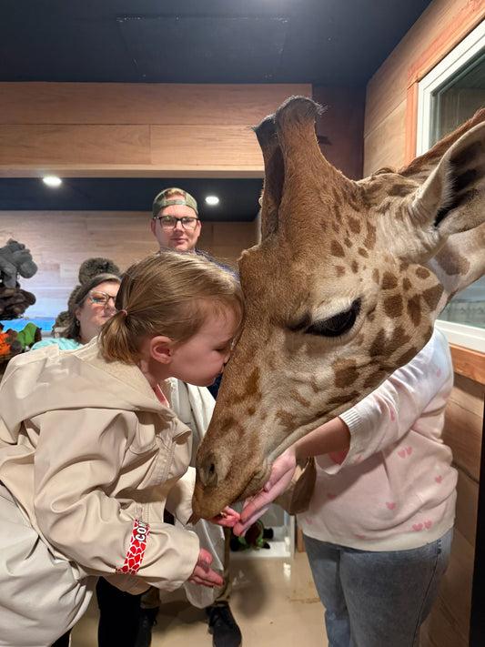 Guided Animal Tour (Ages 2 and Under)