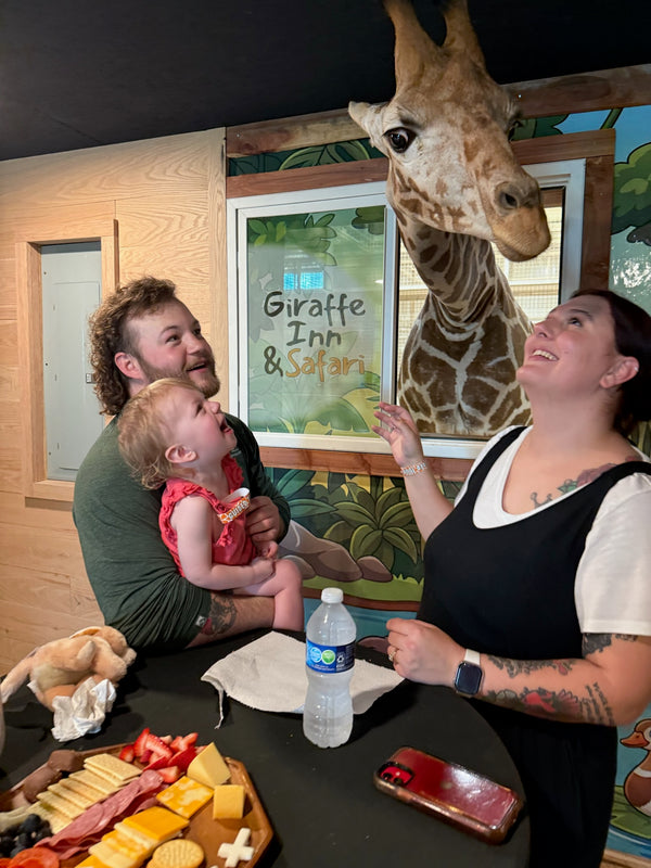 Snack with the Giraffes